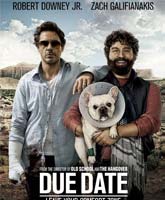 Due Date / 